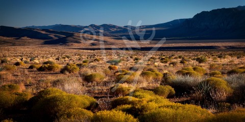 NEVADA Red Rock Canyon